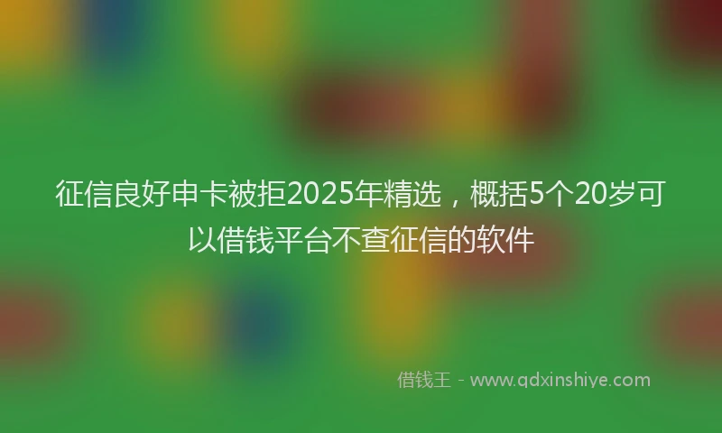 征信良好申卡被拒2025年精选，概括5个20岁可以借钱平台不查征信的软件
