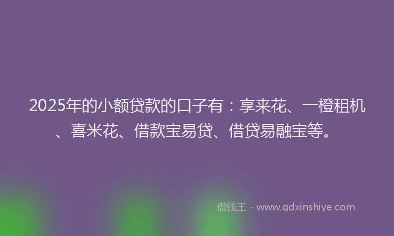 2025年的小额贷款的口子有：享来花、一橙租机、喜米花、借款宝易贷、借贷易融宝等。
