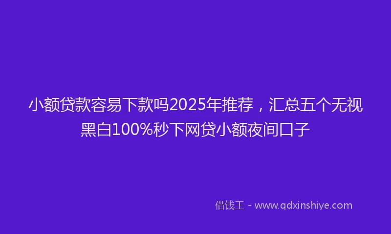 小额贷款容易下款吗2025年推荐，汇总五个无视黑白100%秒下网贷小额夜间口子