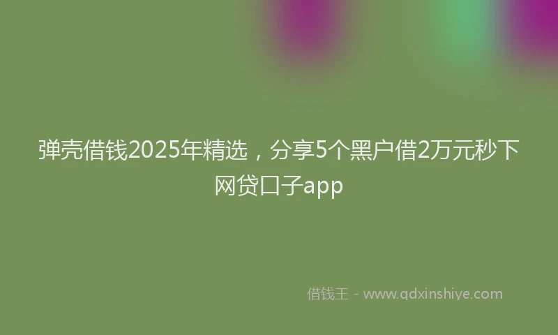弹壳借钱2025年精选，分享5个黑户借2万元秒下网贷口子app