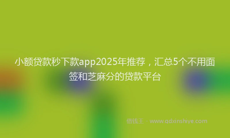 小额贷款秒下款app2025年推荐，汇总5个不用面签和芝麻分的贷款平台