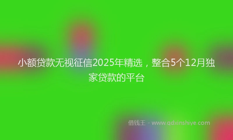 小额贷款无视征信2025年精选，整合5个12月独家贷款的平台
