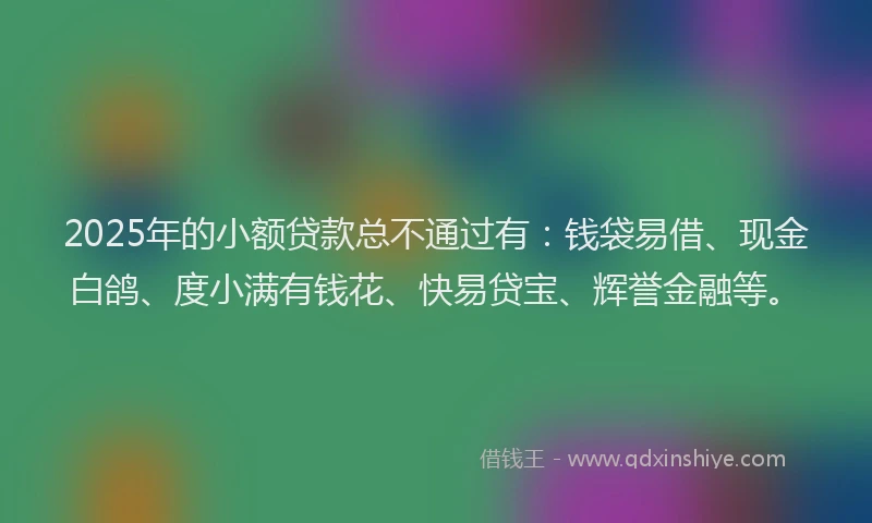 2025年的小额贷款总不通过有：钱袋易借、现金白鸽、度小满有钱花、快易贷宝、辉誉金融等。