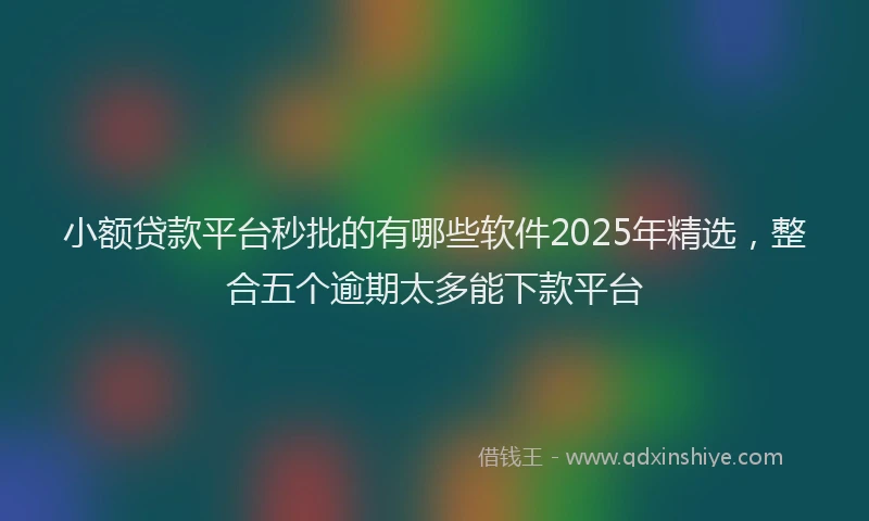 小额贷款平台秒批的有哪些软件2025年精选，整合五个逾期太多能下款平台