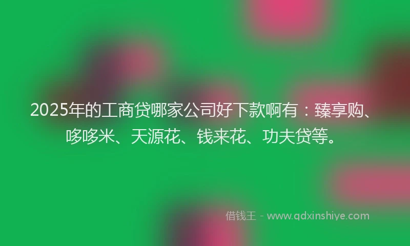 2025年的工商贷哪家公司好下款啊有：臻享购、哆哆米、天源花、钱来花、功夫贷等。