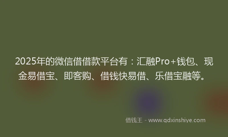 2025年的微信借借款平台有：汇融Pro+钱包、现金易借宝、即客购、借钱快易借、乐借宝融等。