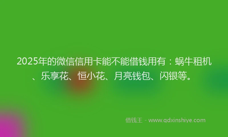 2025年的微信信用卡能不能借钱用有：蜗牛租机、乐享花、恒小花、月亮钱包、闪银等。