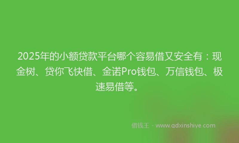 2025年的小额贷款平台哪个容易借又安全有：现金树、贷你飞快借、金诺Pro钱包、万信钱包、极速易借等。
