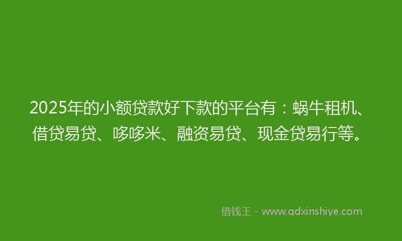 2025年的小额贷款好下款的平台有：蜗牛租机、借贷易贷、哆哆米、融资易贷、现金贷易行等。