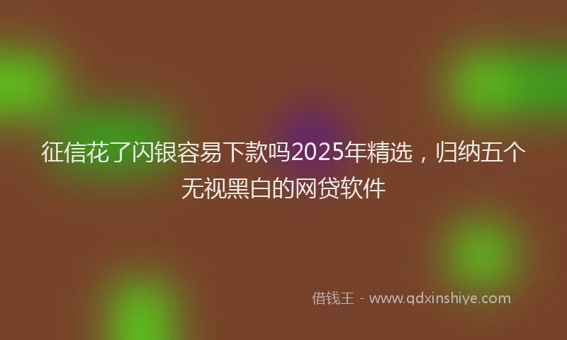 征信花了闪银容易下款吗2025年精选,归纳五个无视黑白的网贷软件