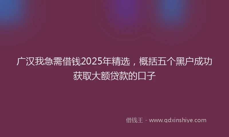 广汉我急需借钱2025年精选，概括五个黑户成功获取大额贷款的口子
