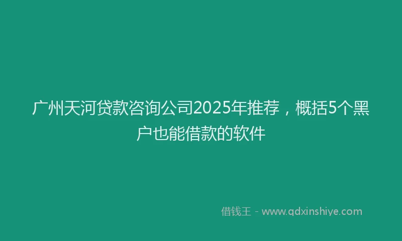 广州天河贷款咨询公司2025年推荐，概括5个黑户也能借款的软件