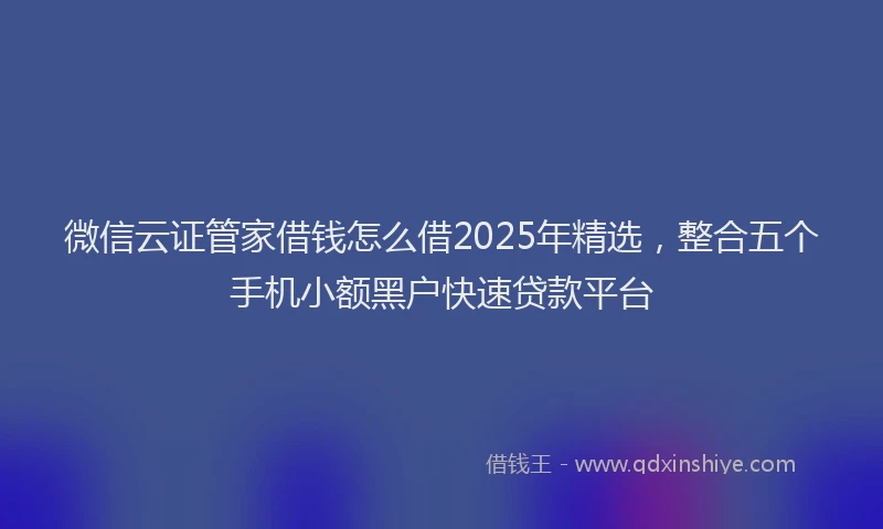 微信云证管家借钱怎么借2025年精选，整合五个手机小额黑户快速贷款平台