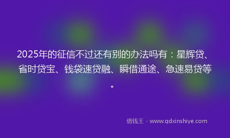 2025年的征信不过还有别的办法吗有：星辉贷、省时贷宝、钱袋速贷融、瞬借通途、急速易贷等。