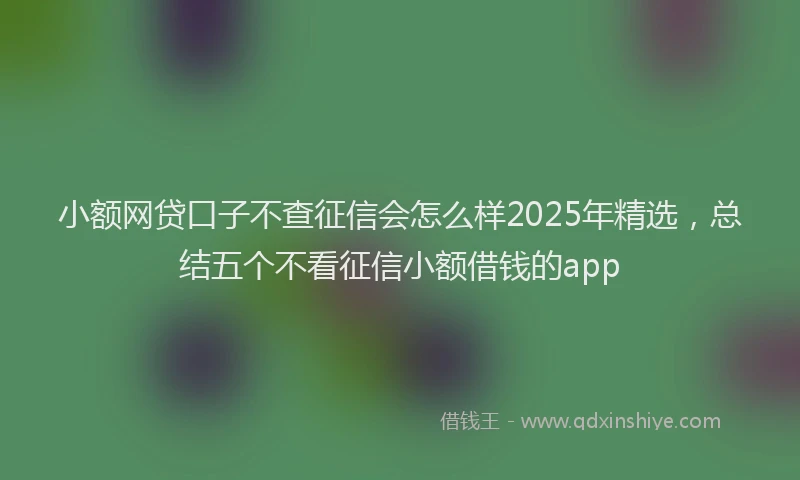小额网贷口子不查征信会怎么样2025年精选，总结五个不看征信小额借钱的app