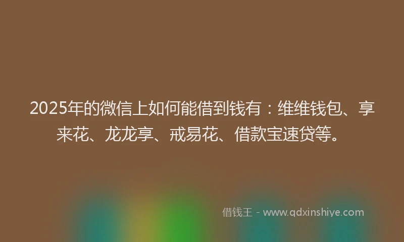 2025年的微信上如何能借到钱有：维维钱包、享来花、龙龙享、戒易花、借款宝速贷等。