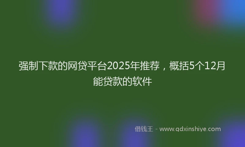 强制下款的网贷平台2025年推荐，概括5个12月能贷款的软件