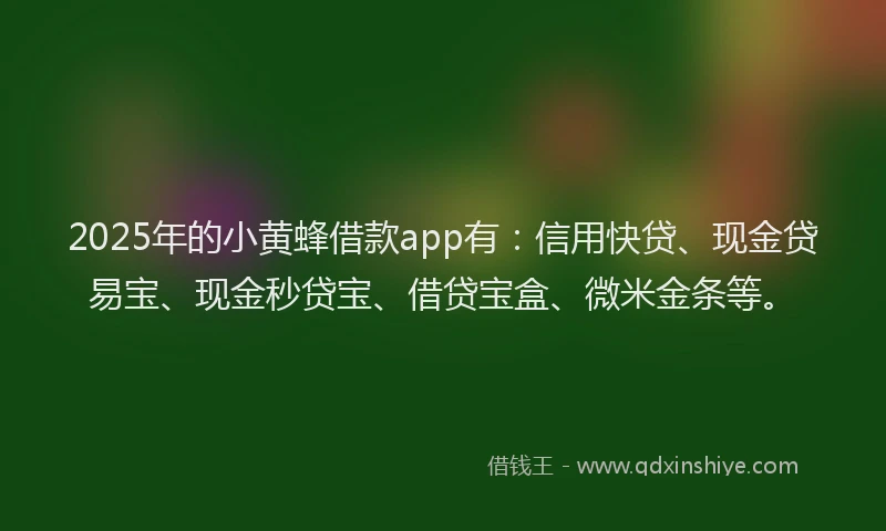 2025年的小黄蜂借款app有：信用快贷、现金贷易宝、现金秒贷宝、借贷宝盒、微米金条等。