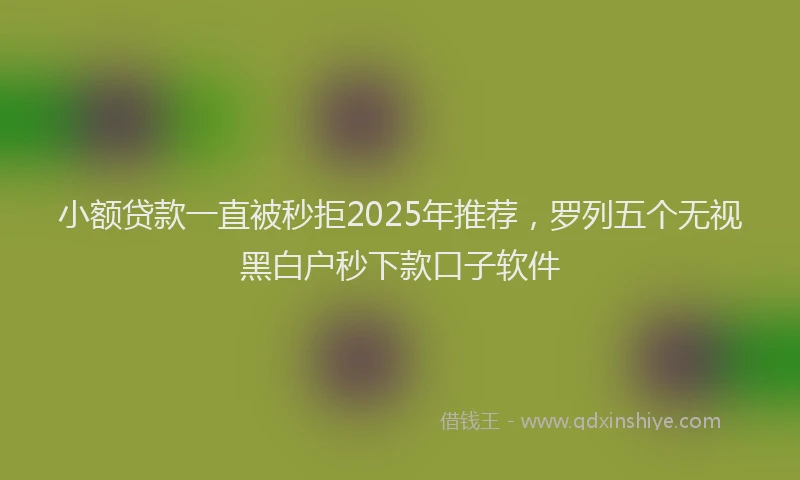 小额贷款一直被秒拒2025年推荐，罗列五个无视黑白户秒下款口子软件