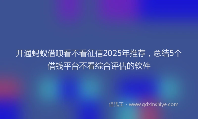 开通蚂蚁借呗看不看征信2025年推荐，总结5个借钱平台不看综合评估的软件
