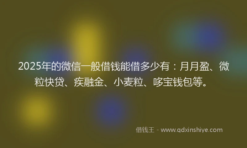 2025年的微信一般借钱能借多少有：月月盈、微粒快贷、疾融金、小麦粒、哆宝钱包等。
