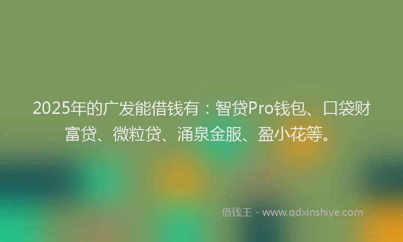 2025年的广发能借钱有：智贷Pro钱包、口袋财富贷、微粒贷、涌泉金服、盈小花等。