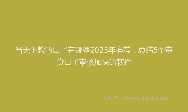 当天下款的口子有哪些2025年推荐，总结5个审贷口子审核加快的软件