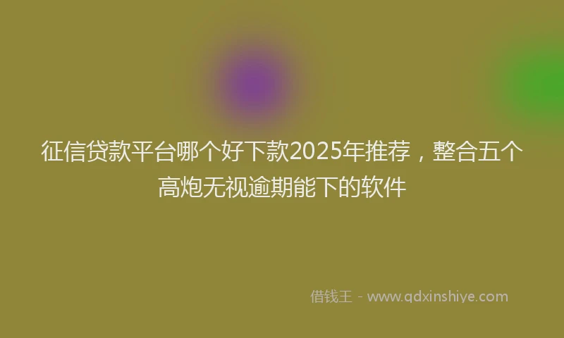 征信贷款平台哪个好下款2025年推荐，整合五个高炮无视逾期能下的软件