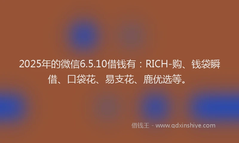 2025年的微信6.5.10借钱有：RICH-购、钱袋瞬借、口袋花、易支花、鹿优选等。
