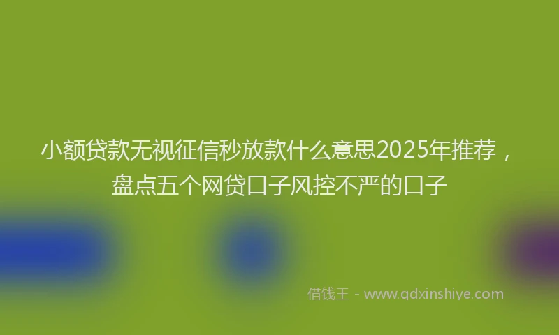 小额贷款无视征信秒放款什么意思2025年推荐，盘点五个网贷口子风控不严的口子