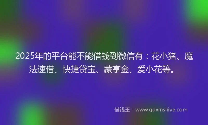 2025年的平台能不能借钱到微信有：花小猪、魔法速借、快捷贷宝、蒙享金、爱小花等。