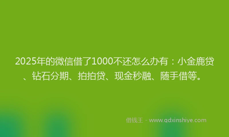 2025年的微信借了1000不还怎么办有：小金鹿贷、钻石分期、拍拍贷、现金秒融、随手借等。