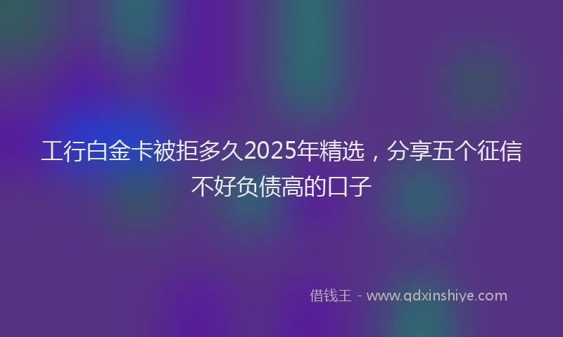 工行白金卡被拒多久2025年精选，分享五个征信不好负债高的口子