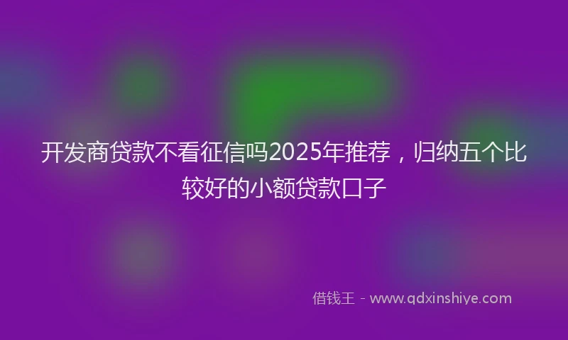 开发商贷款不看征信吗2025年推荐，归纳五个比较好的小额贷款口子
