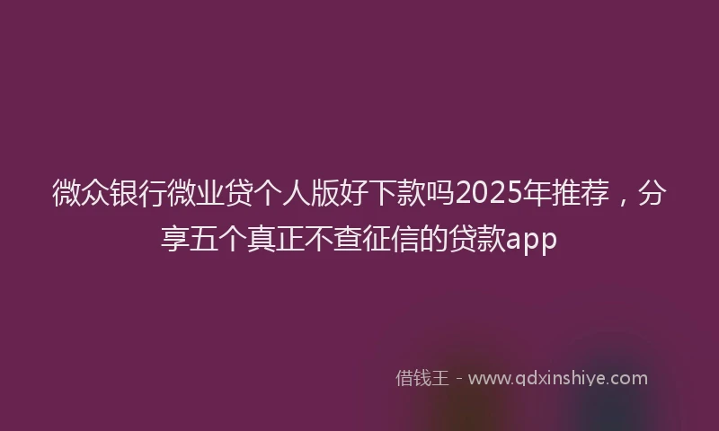 微众银行微业贷个人版好下款吗2025年推荐，分享五个真正不查征信的贷款app