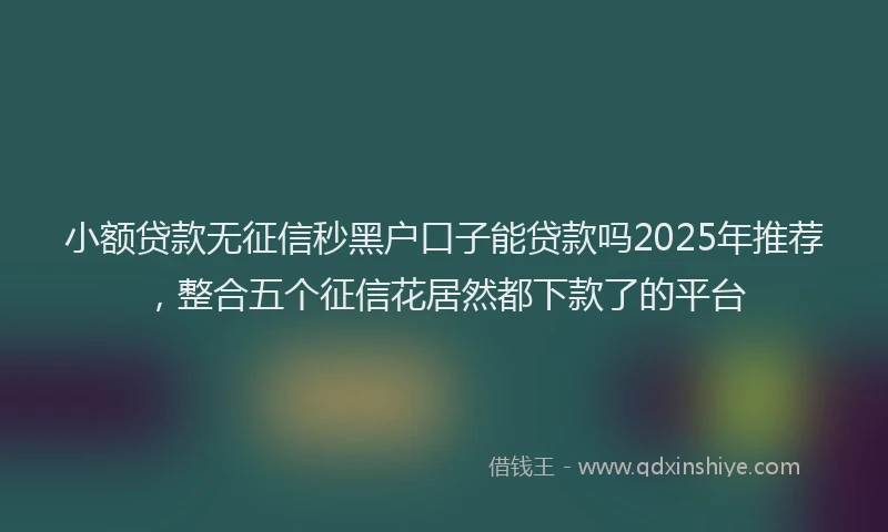 小额贷款无征信秒黑户口子能贷款吗2025年推荐，整合五个征信花居然都下款了的平台