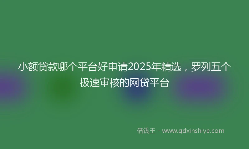 小额贷款哪个平台好申请2025年精选，罗列五个极速审核的网贷平台