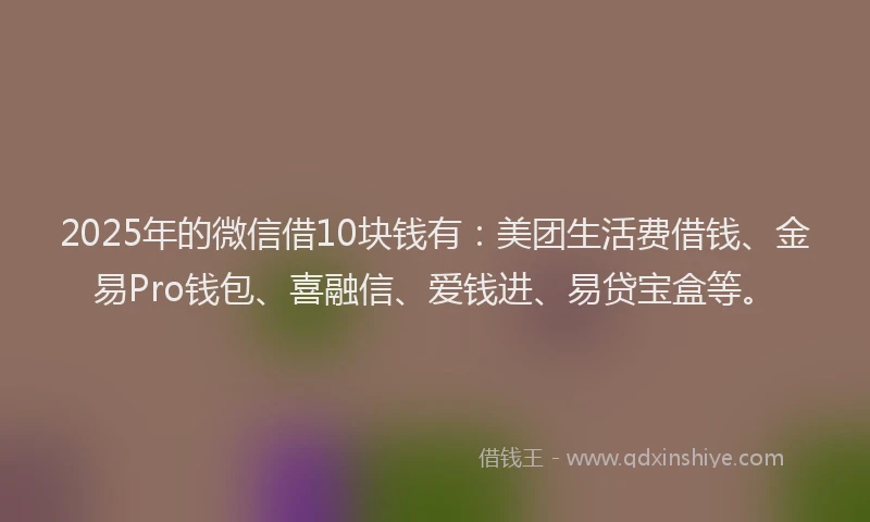 2025年的微信借10块钱有：美团生活费借钱、金易Pro钱包、喜融信、爱钱进、易贷宝盒等。