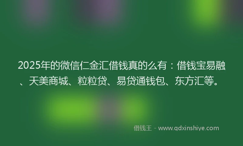 2025年的微信仁金汇借钱真的么有：借钱宝易融、天美商城、粒粒贷、易贷通钱包、东方汇等。