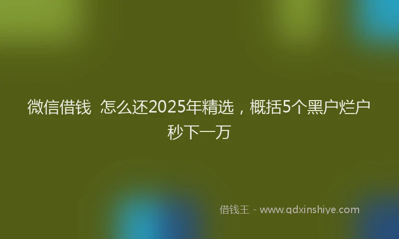 微信借钱  怎么还2025年精选，概括5个黑户烂户秒下一万