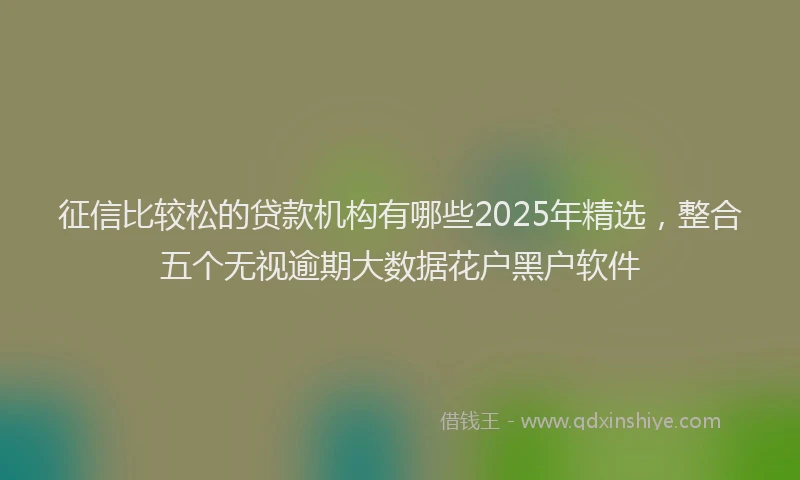 征信比较松的贷款机构有哪些2025年精选，整合五个无视逾期大数据花户黑户软件