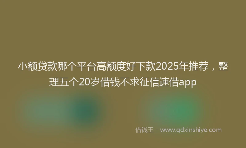 小额贷款哪个平台高额度好下款2025年推荐，整理五个20岁借钱不求征信速借app