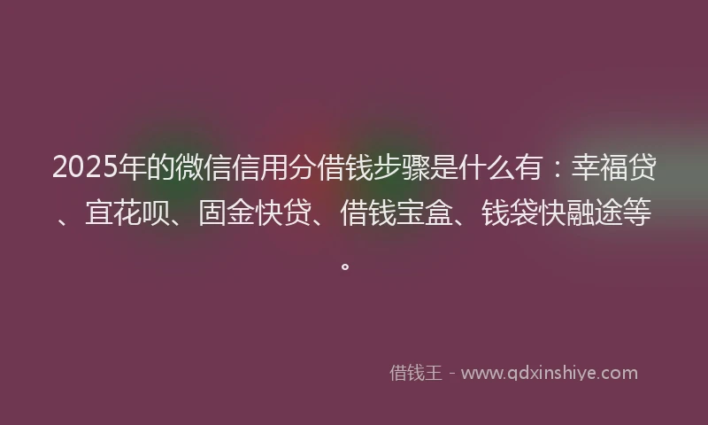 2025年的微信信用分借钱步骤是什么有：幸福贷、宜花呗、固金快贷、借钱宝盒、钱袋快融途等。