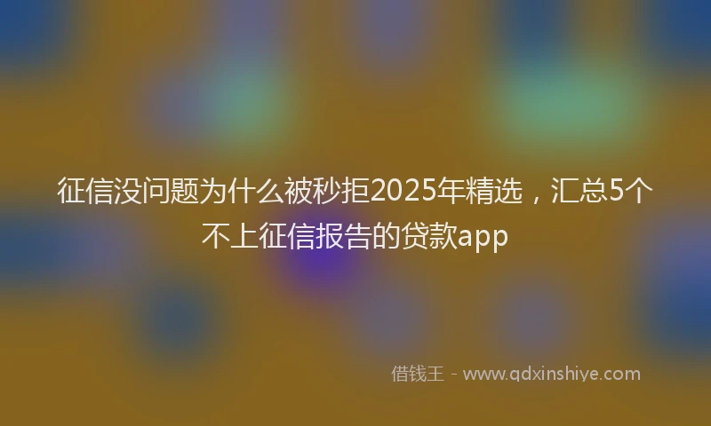 征信没问题为什么被秒拒2025年精选，汇总5个不上征信报告的贷款app