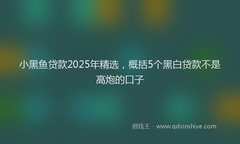 小黑鱼贷款2025年精选，概括5个黑白贷款不是高炮的口子