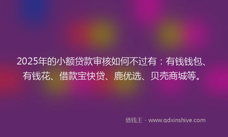 2025年的小额贷款审核如何不过有：有钱钱包、有钱花、借款宝快贷、鹿优选、贝壳商城等。