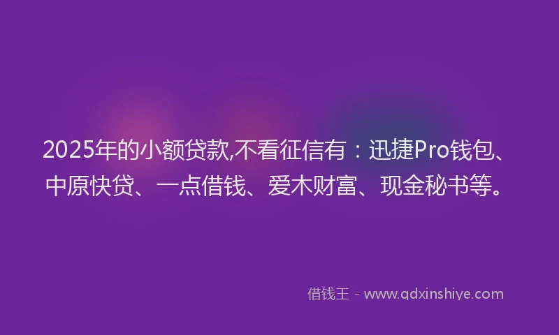 2025年的小额贷款,不看征信有：迅捷Pro钱包、中原快贷、一点借钱、爱木财富、现金秘书等。