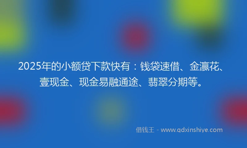 2025年的小额贷下款快有：钱袋速借、金瀛花、壹现金、现金易融通途、翡翠分期等。
