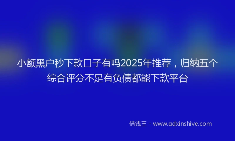 小额黑户秒下款口子有吗2025年推荐，归纳五个综合评分不足有负债都能下款平台