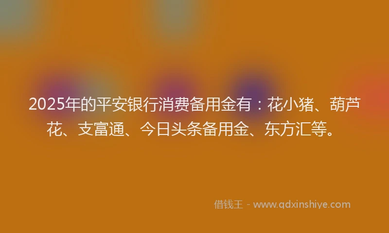 2025年的平安银行消费备用金有：花小猪、葫芦花、支富通、今日头条备用金、东方汇等。